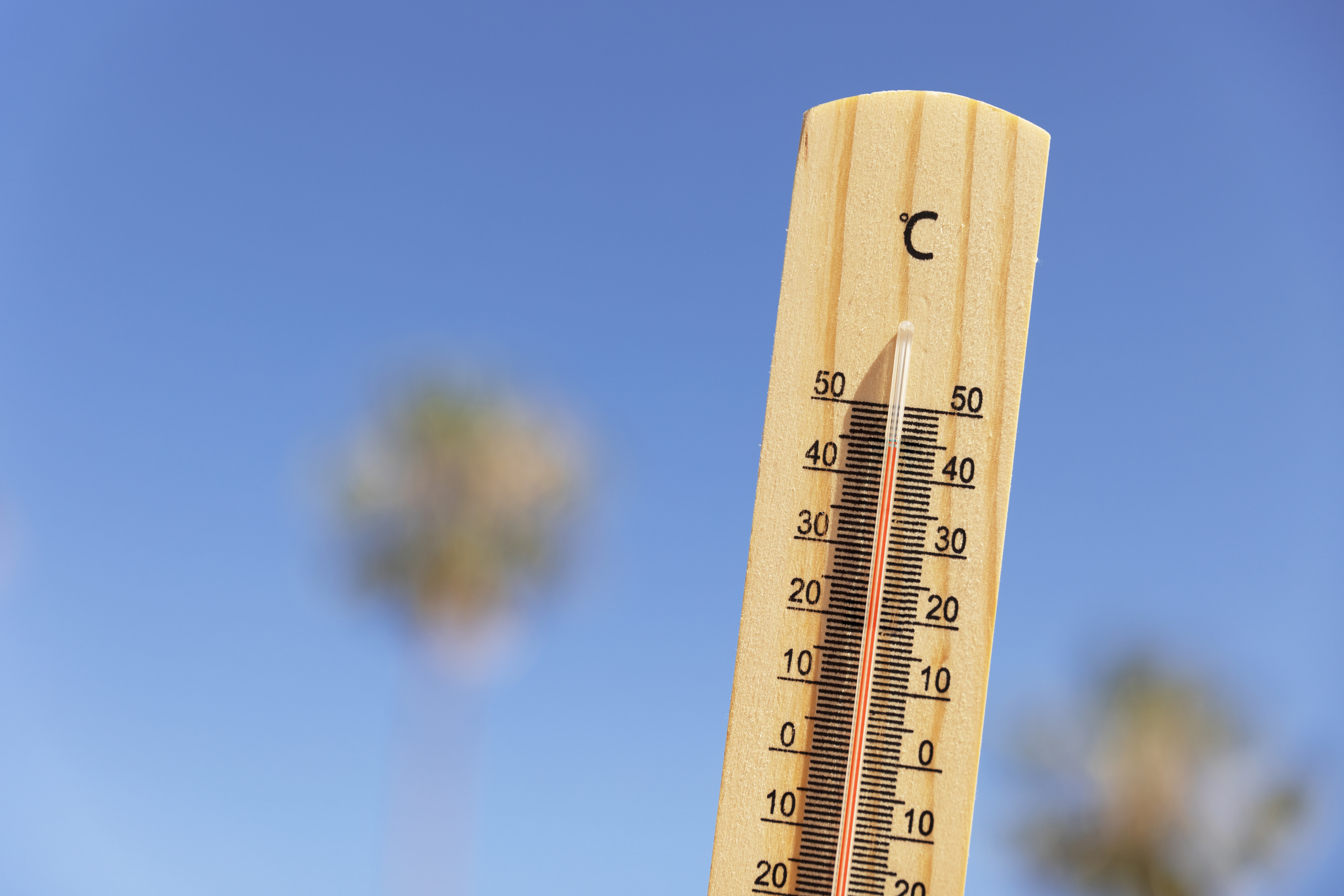 Canicule en crèche : le guide de survie des professionnels de la petite enfance